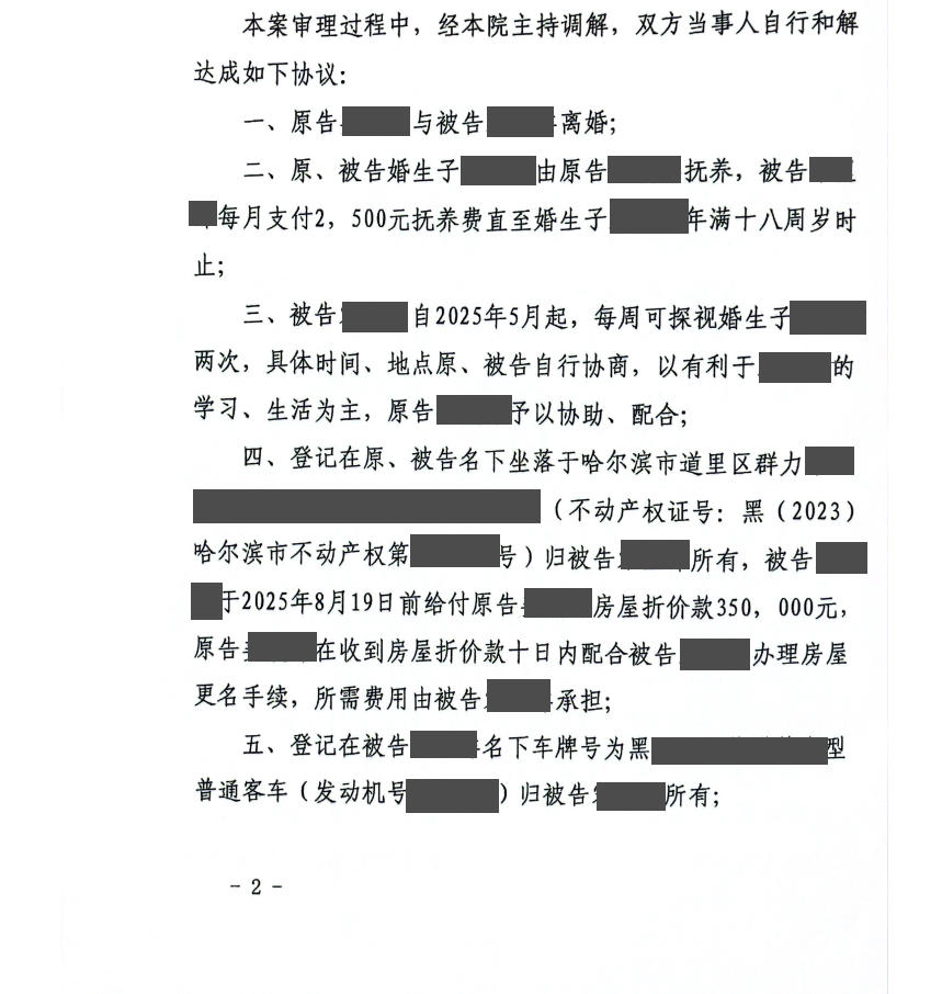 婚前出资购房混同争议？段琳琳律师梳理资金链+以诉促调，助女方获35万元房屋折价款并取得抚养权脱敏文书封面