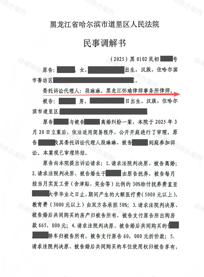 婚前出资购房混同争议？段琳琳律师梳理资金链+以诉促调，助女方获35万元房屋折价款并取得抚养权脱敏文书封面