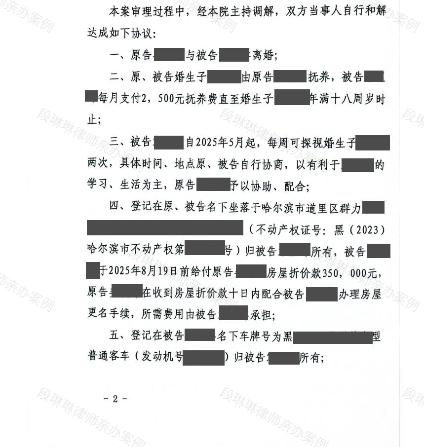 段琳琳律师亲办案例脱敏文书第2页