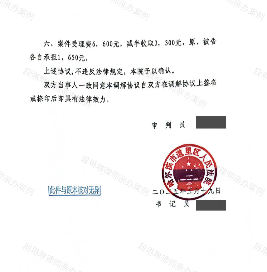 段琳琳律师亲办案例脱敏文书第3页