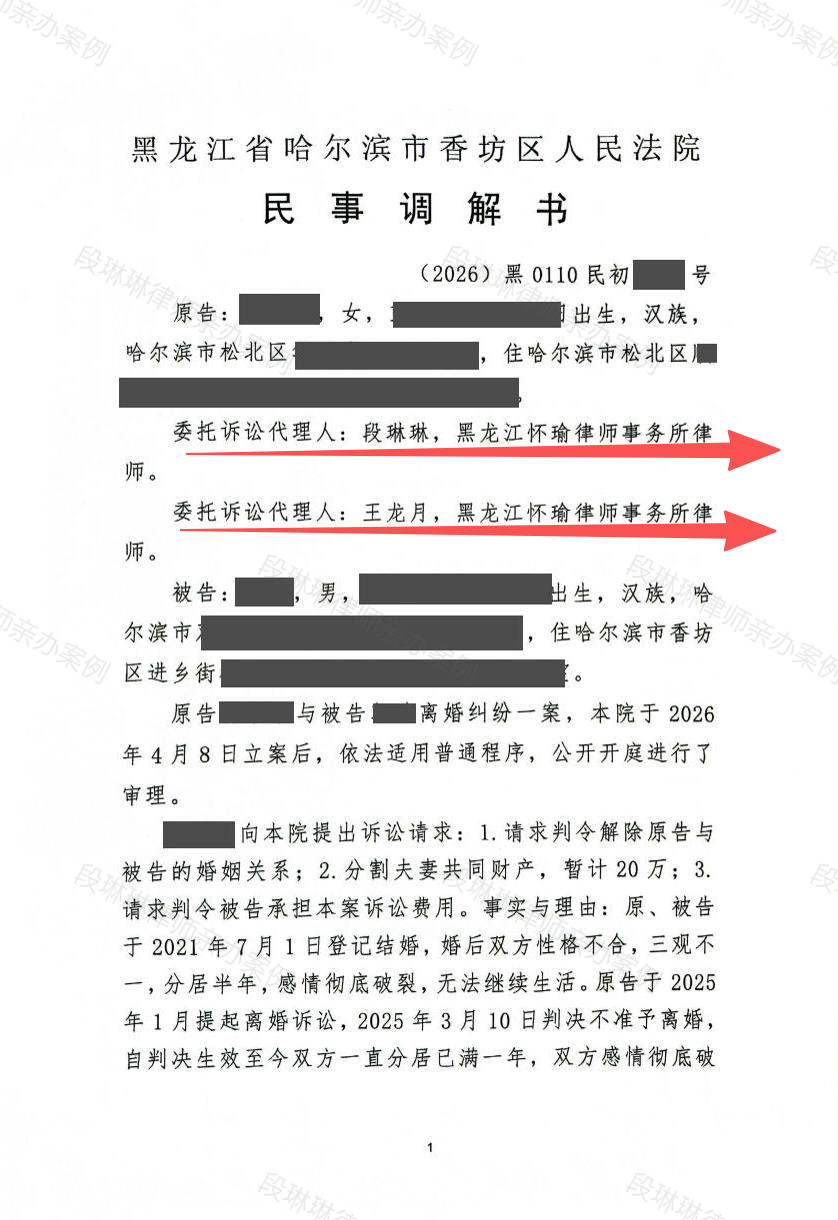 第一次起诉判不离怎么办?段琳琳律师分步诉讼策略+法定分居条款,助女方二次起诉快速调解离婚脱敏文书封面