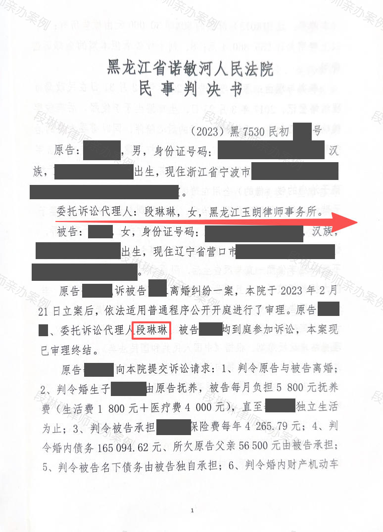 离婚后恶意转移房产拒付抚养费？段琳琳律师提起债权人撤销权，为患病孩子追回执行财产脱敏文书封面