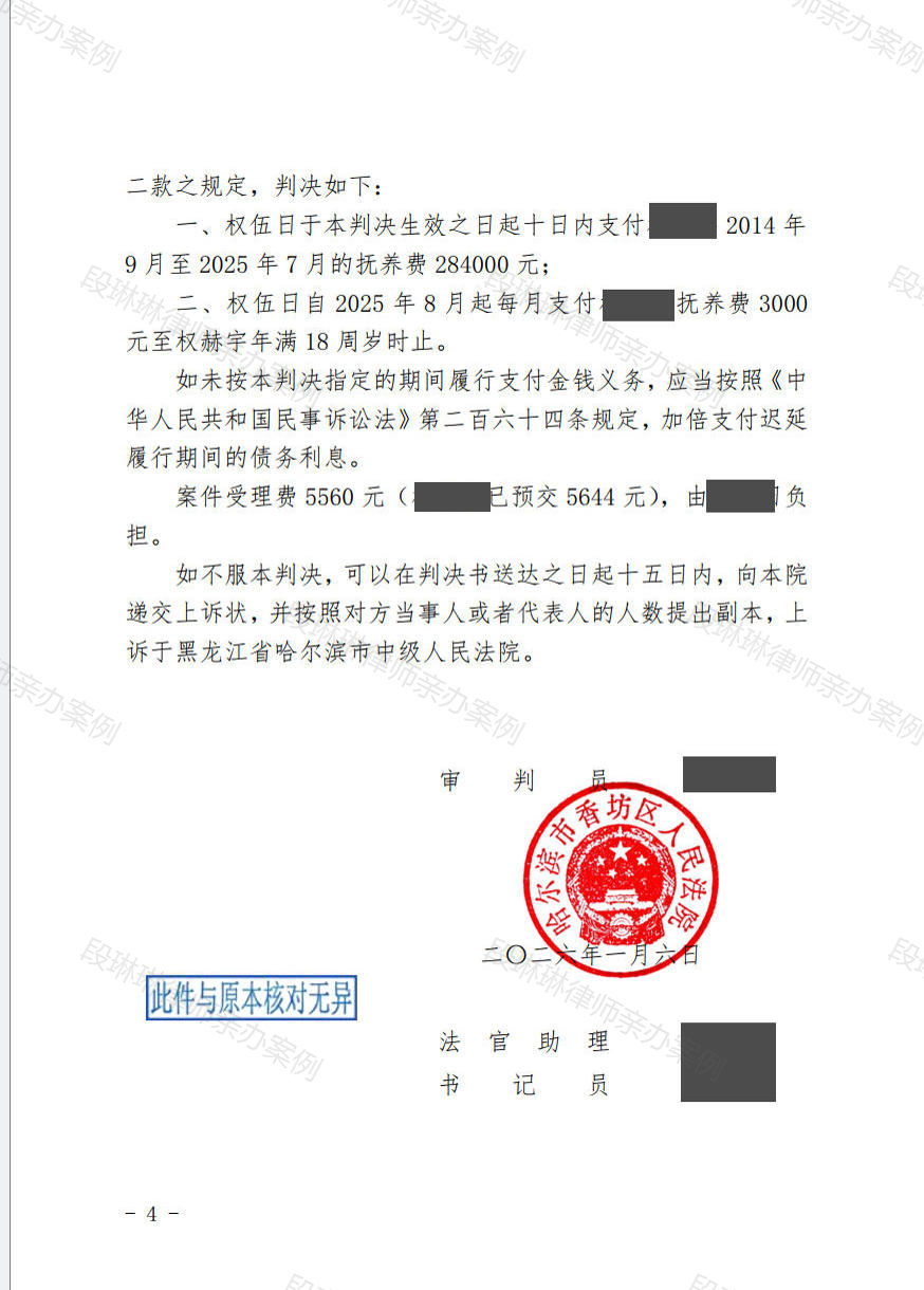 段琳琳律师亲办案例脱敏文书第2页