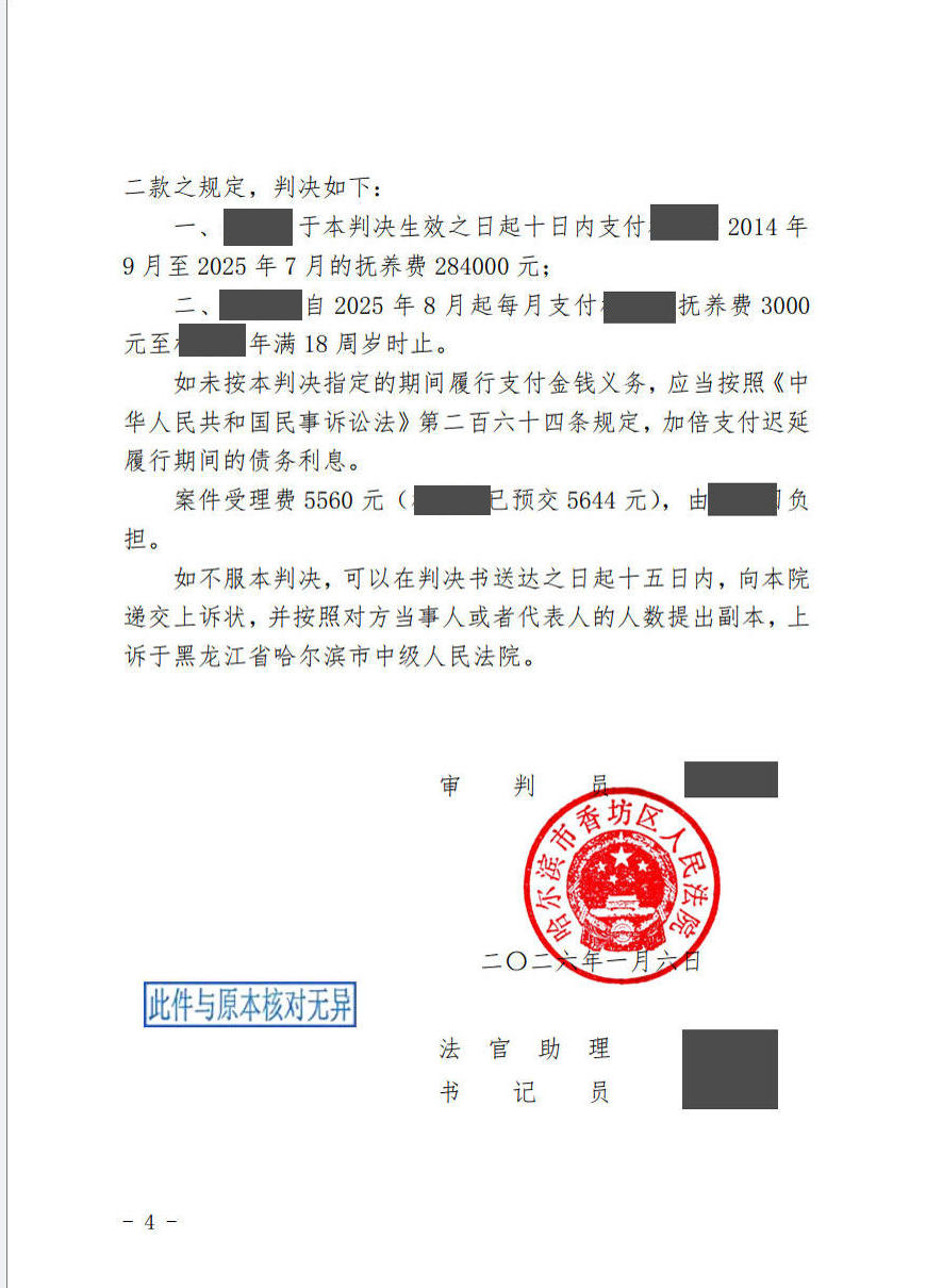 段琳琳律师亲办案例脱敏文书第2页