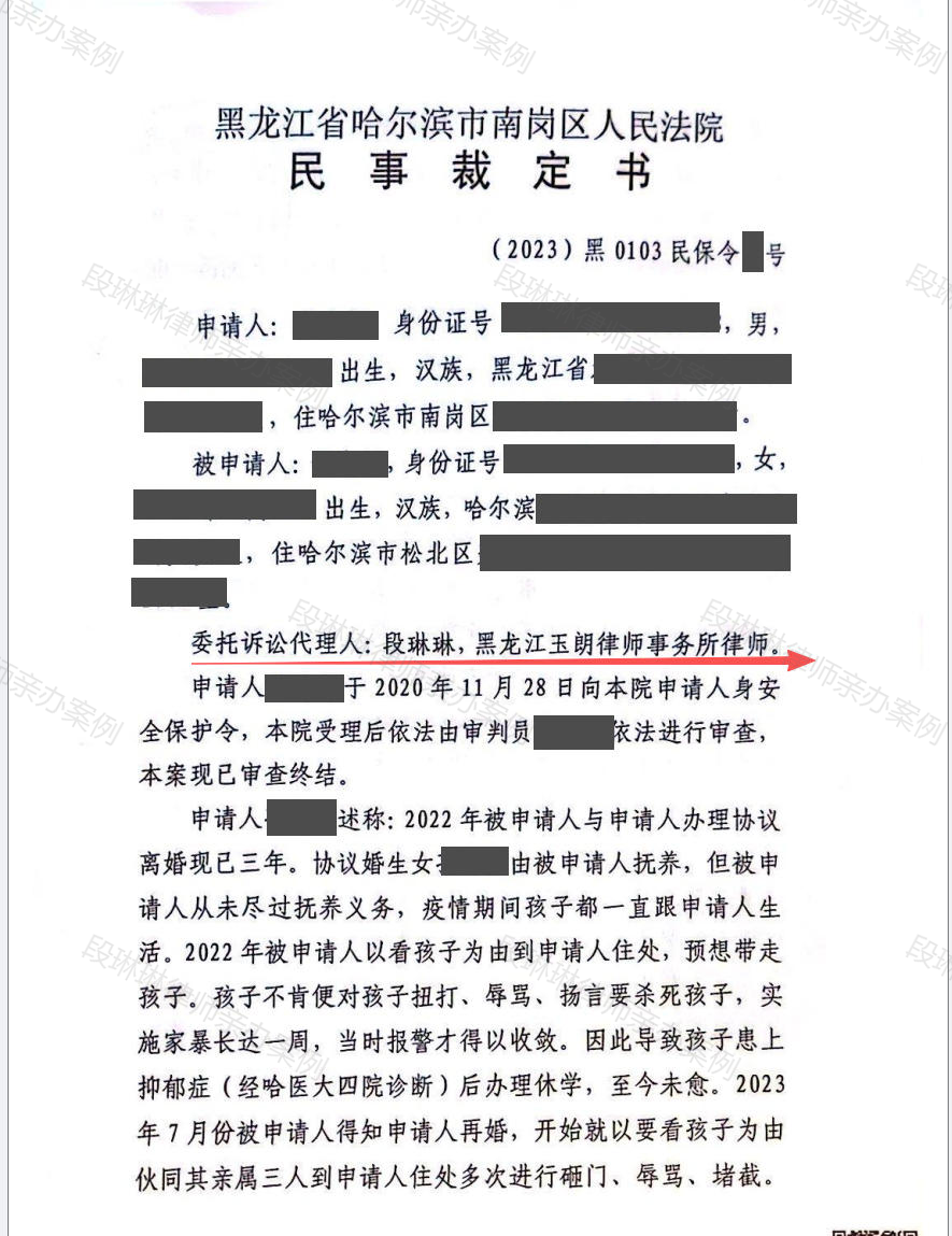 发生家庭冲突，申请人身安全保护令需要哪些证据？脱敏文书封面