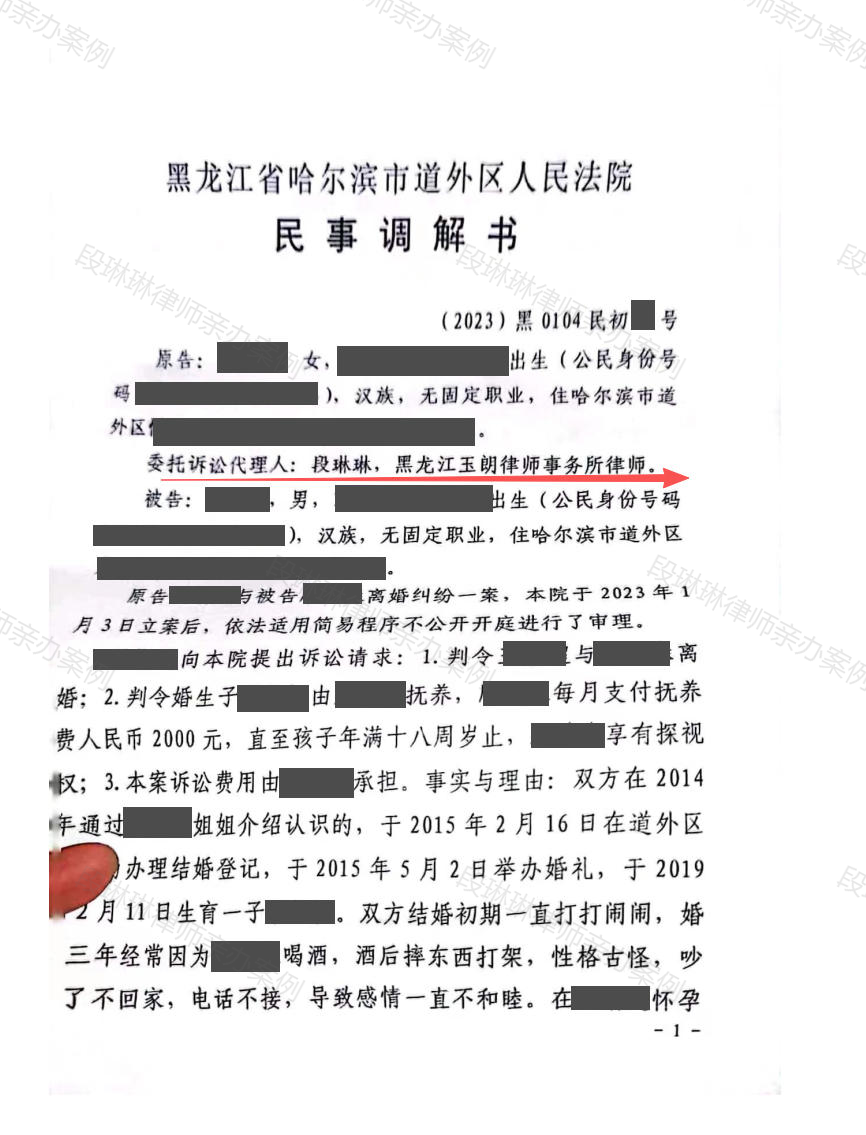 孩子随父亲生活,母亲的抚养费和探望如何约定?脱敏文书封面