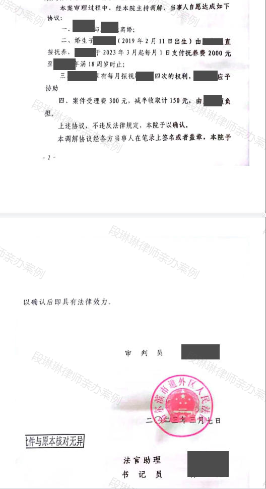 段琳琳律师亲办案例脱敏文书第2页