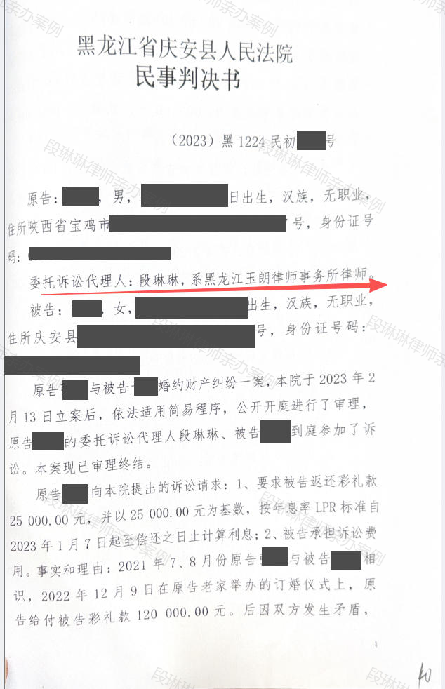 未办理结婚登记,12万元彩礼一定会全部返还吗?脱敏文书封面