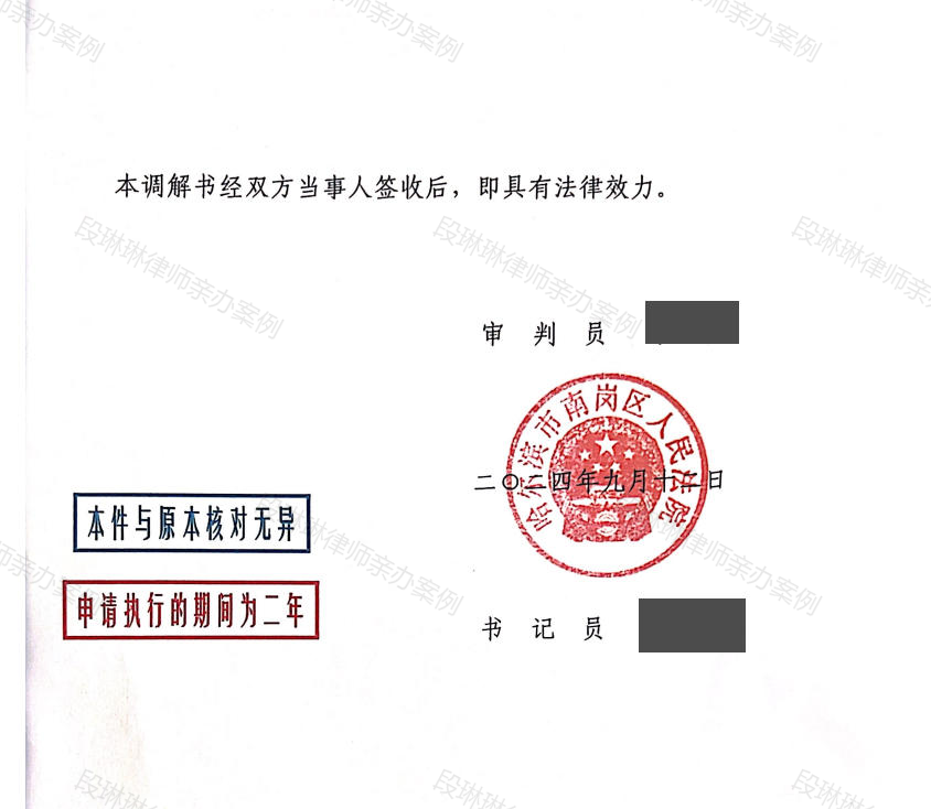 段琳琳律师亲办案例脱敏文书第3页